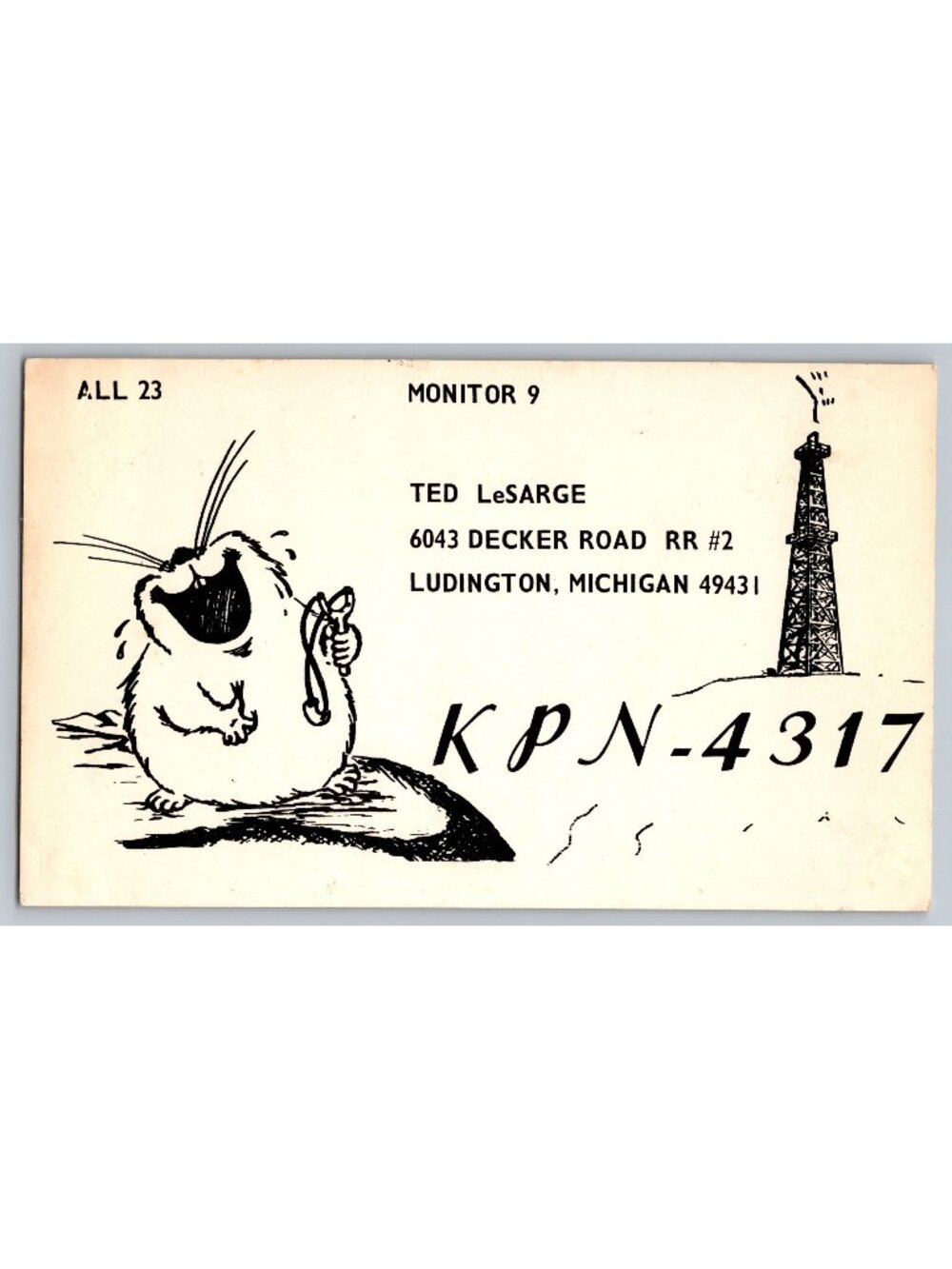 Vintage CB QSL Card KPN-4317 Ted LeSarge Ludington Michigan Rabbit Cartoon